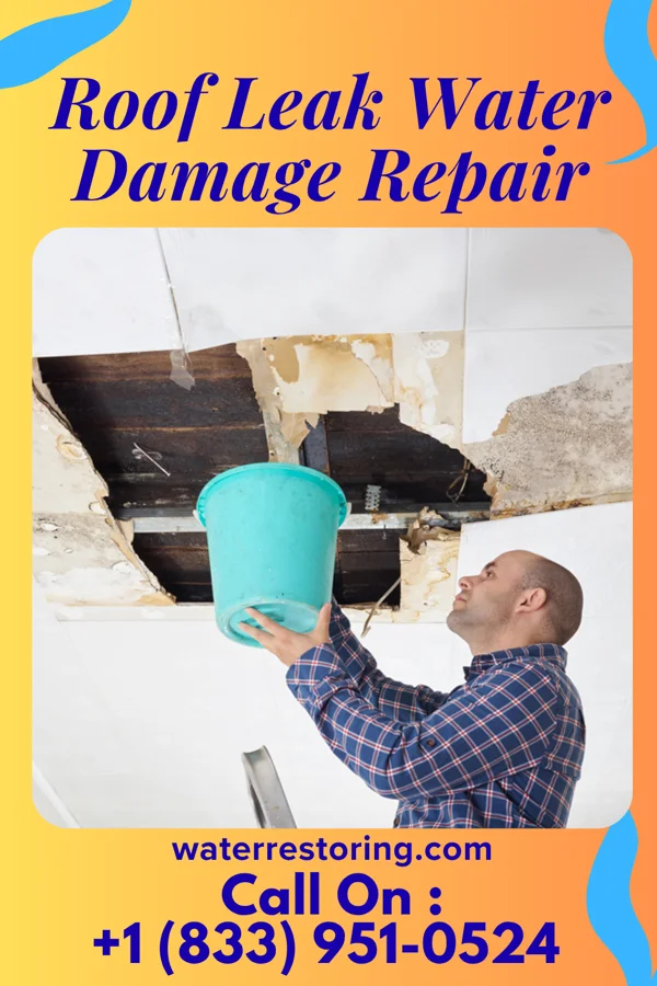 Roof Leak Water Damage Repair in Blythe, CA